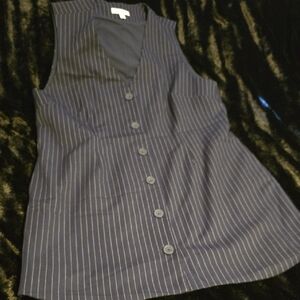 Steve Madden Blue Pinstripe Dress